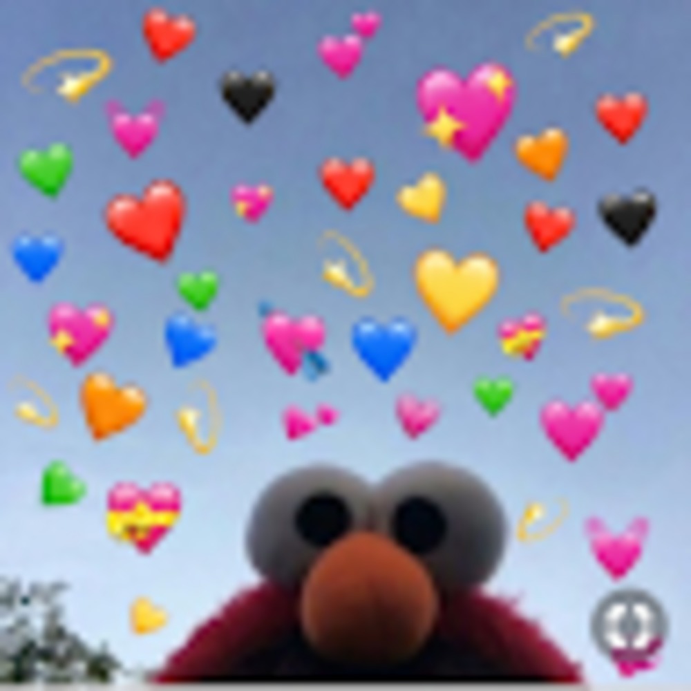 Meet your Posher, Lilly